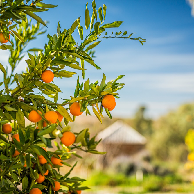 © dbdigital (21 of 381) sm sq